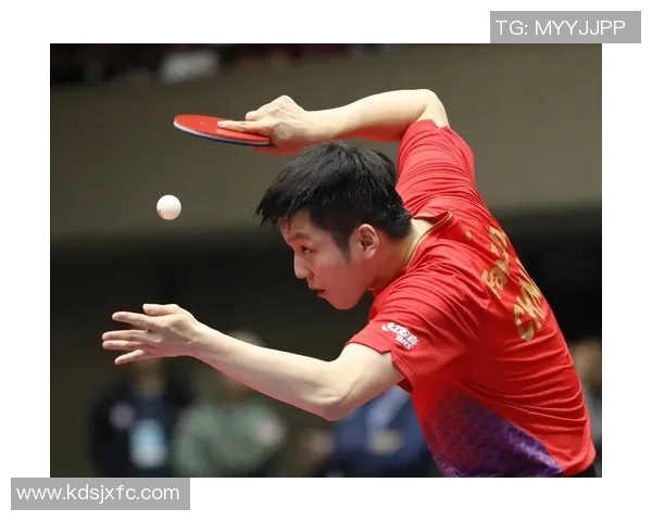 深圳乒乓球队耐力排名创新高展现团队实力与训练成果